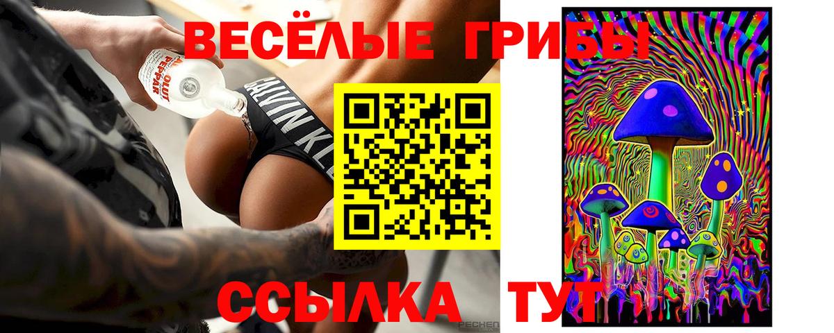 Псилоцибиновые грибы Psilocybine cubensis Кириши