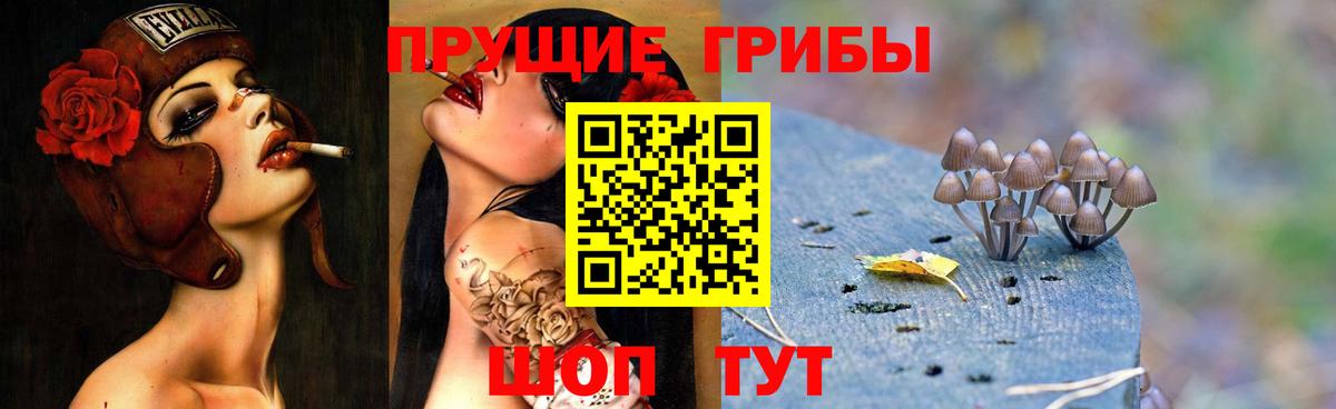 Кириши  закладка  Вход с VPN  Галлюциногенные грибы мицелий 